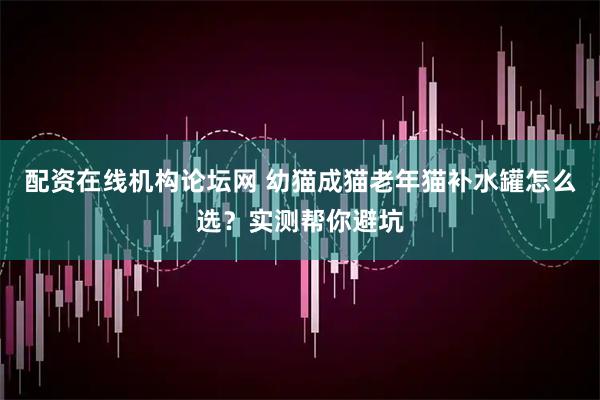 配资在线机构论坛网 幼猫成猫老年猫补水罐怎么选？实测帮你避坑