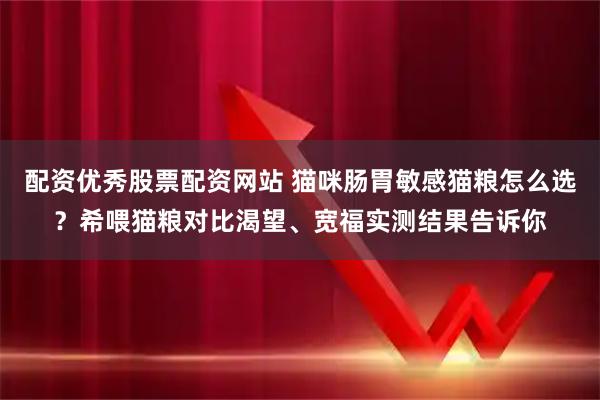 配资优秀股票配资网站 猫咪肠胃敏感猫粮怎么选？希喂猫粮对比渴望、宽福实测结果告诉你